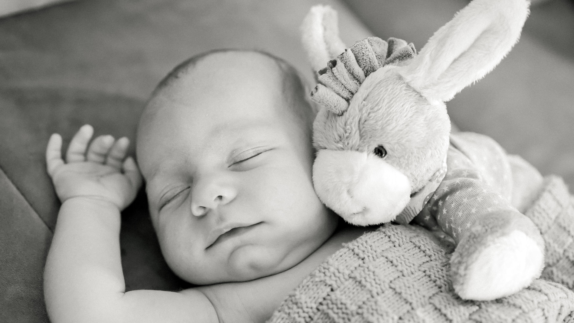 Baby-P-SW-88